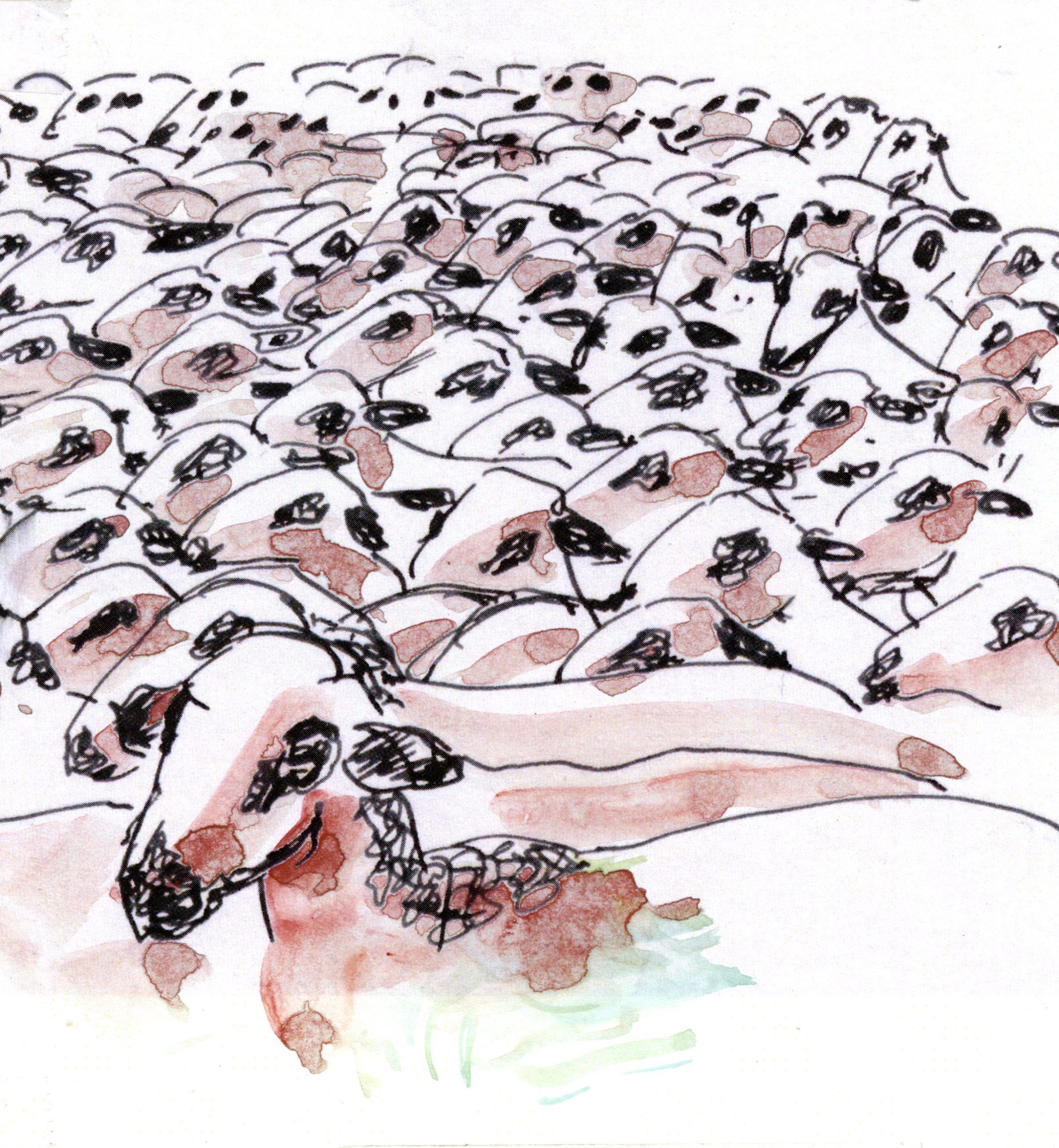 Budget Prévisionnel